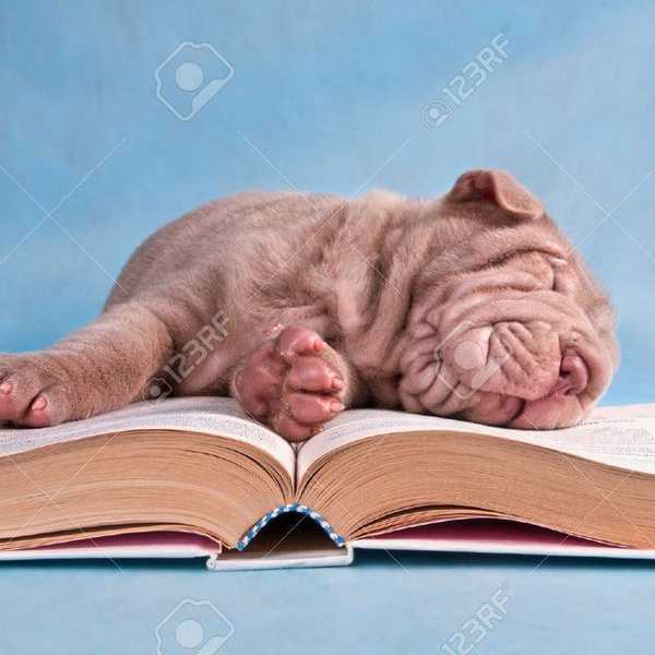 The 12 Emotions Of A College Exam Mental Break Down