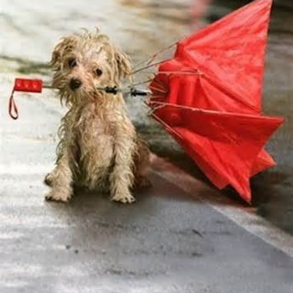 11 Ways To Take Advantage Of A Rainy Day