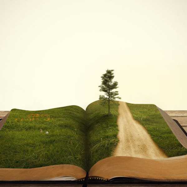 4 Bible Verses That Taught Me Extremely Important Life Lessons