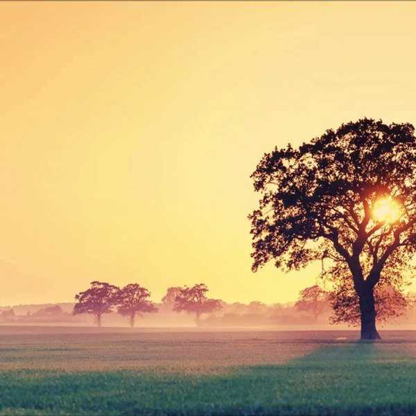 5 Must Hear Foreign Indie/Folk Groups