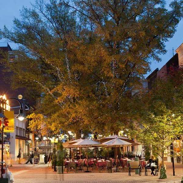 6 Of Charlottesville's Best Hidden Gems