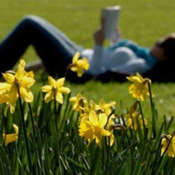 Things To Look Forward To This Spring Quarter