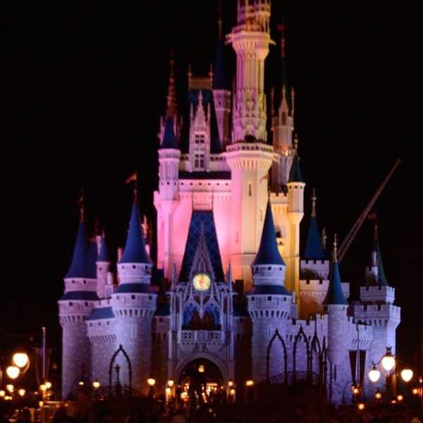 How To Disney Smart