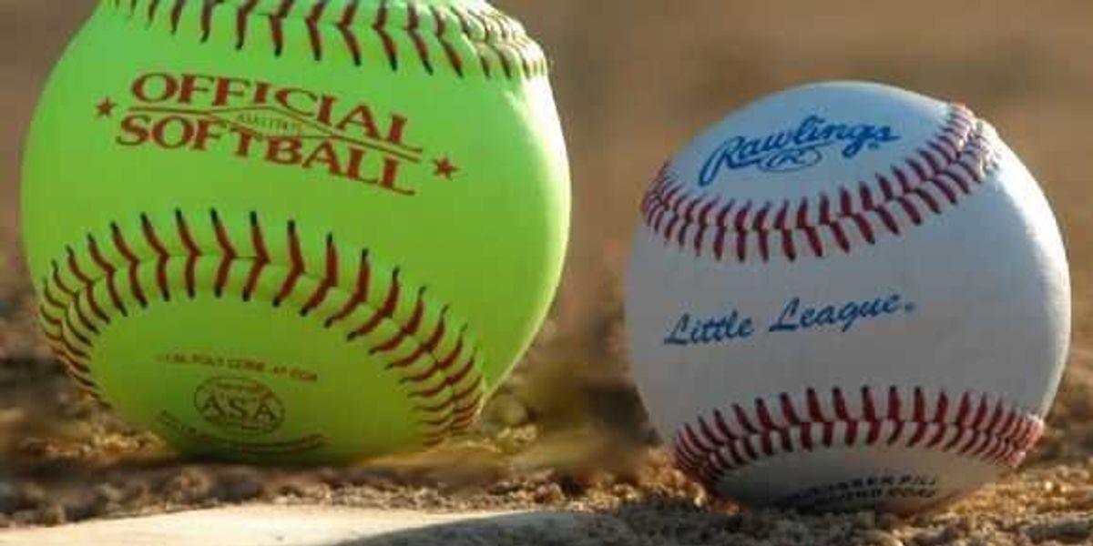 The Science Of Softball Vs. Baseball | The Odyssey Online