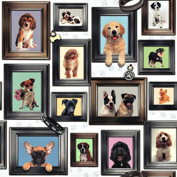 11 Signs That You May Be Too Obsessed With Your Dog