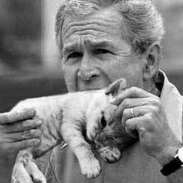 Best George W. Bush Quotes