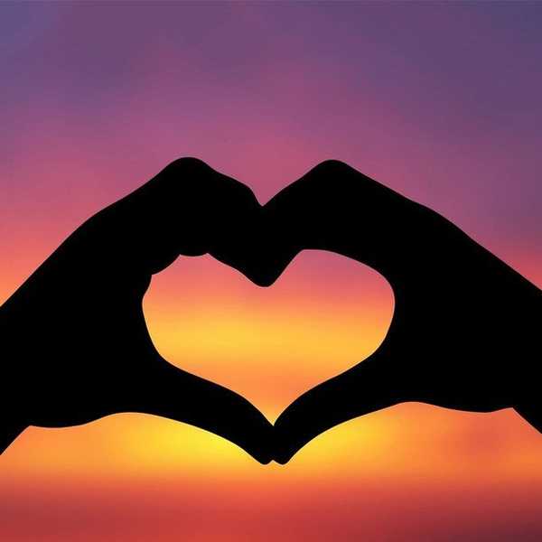 Always Follow Your Heart