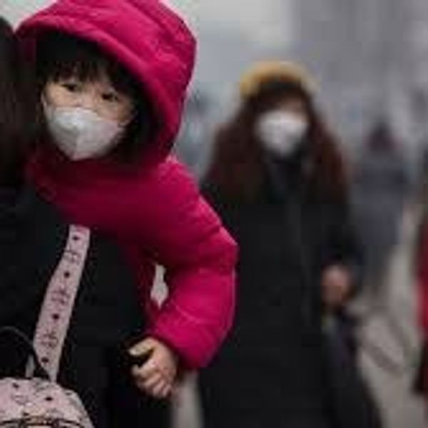 Environmental Factors Contribute To Almost 25 Percent Of World Deaths