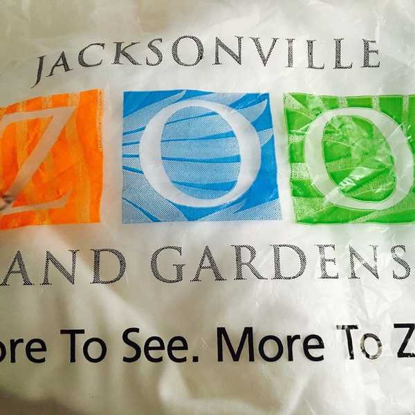 All Ages Can Enjoy The Jacksonville Zoo And Gardens
