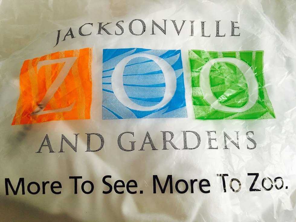 All Ages Can Enjoy The Jacksonville Zoo And Gardens