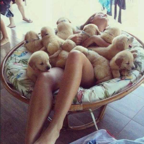 15 Signs That You Have A Dog Obsession