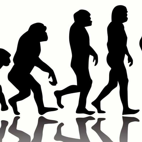 How Alabama Is Trying To Undermine Evolution In Its Science Classrooms