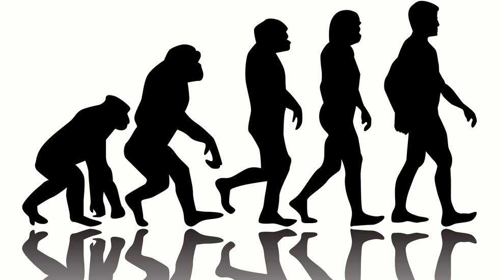 How Alabama Is Trying To Undermine Evolution In Its Science Classrooms