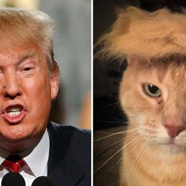 6 Ways To Not Be Annoying About The Election