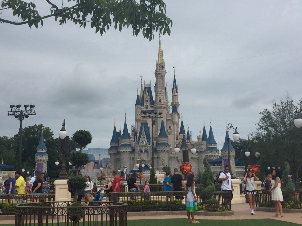 I Have Chosen to Live the Disney Life