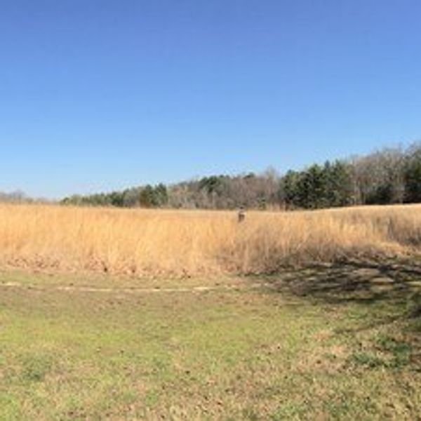Skip The Treadmill And Hit The Pavement