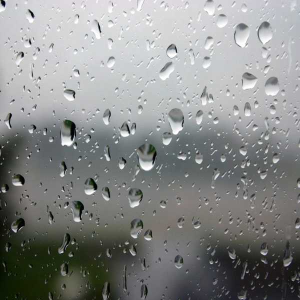 Thoughts You Have When Walking To Class In The Rain