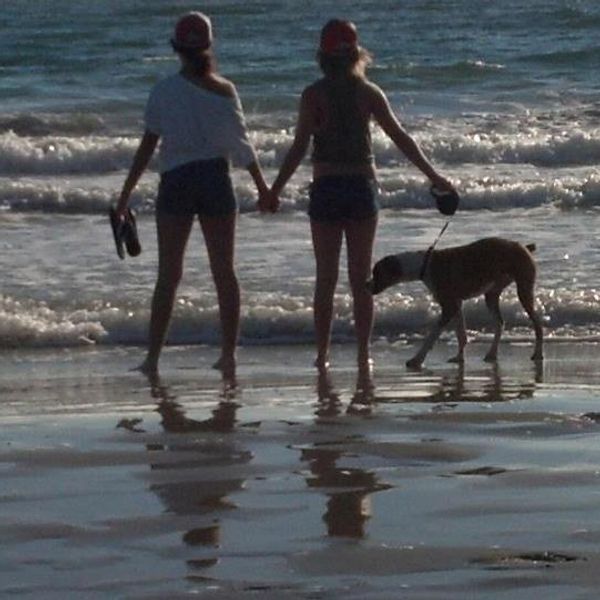 What Is A Best Friend?