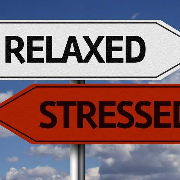 Stressful Vibes? 5 Ways To Improve Your Life