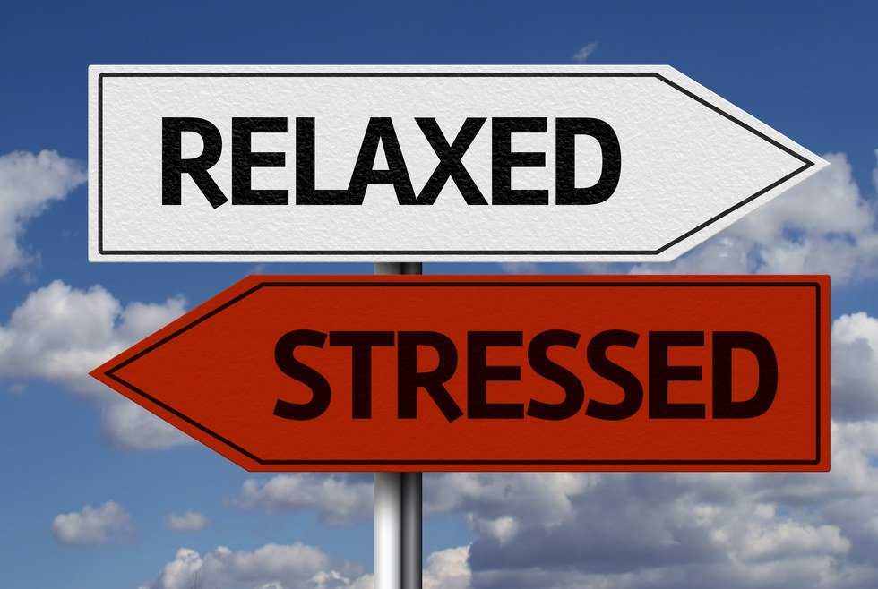 Stressful Vibes? 5 Ways To Improve Your Life