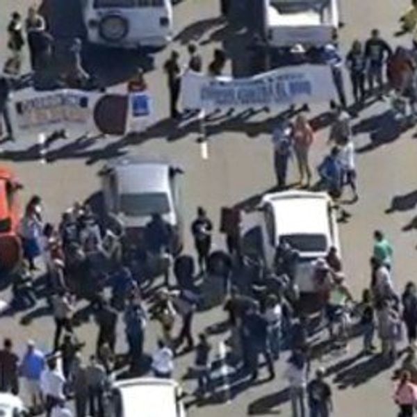 A Thought About Trump Protestors