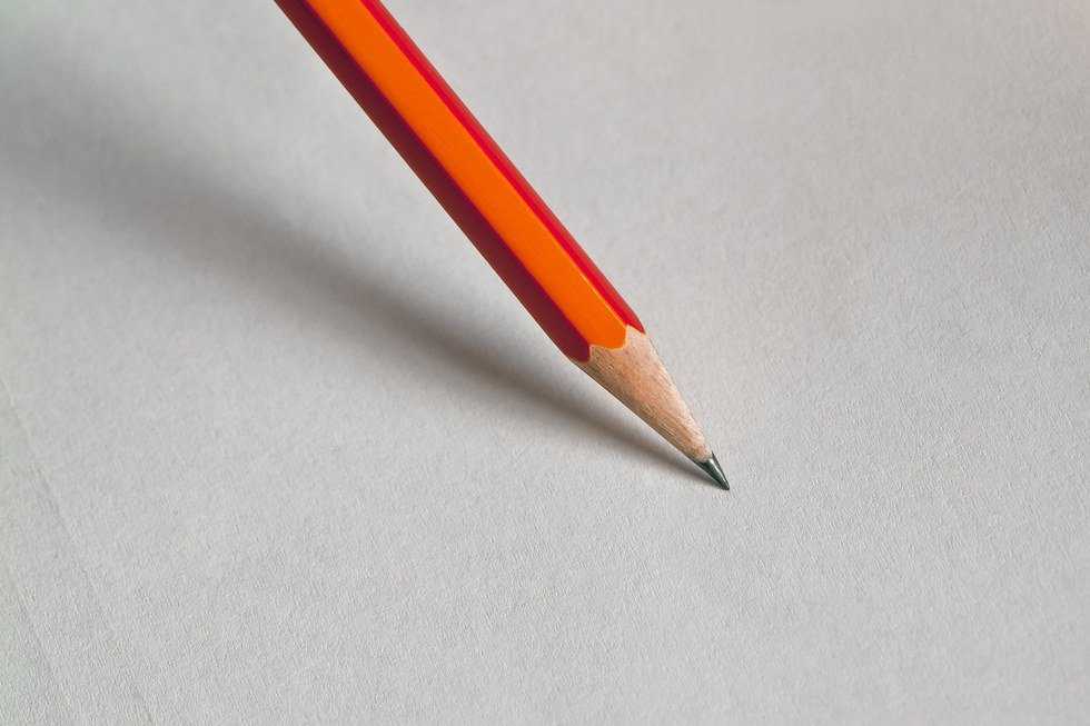 Voting, Now What?