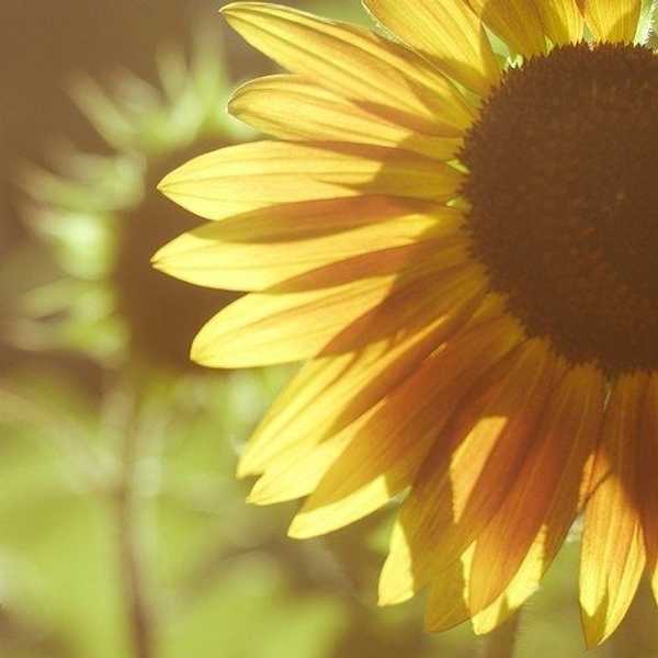 An Open Letter to the Grandma I Lost too Soon