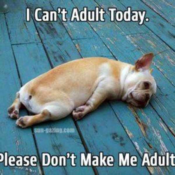 11 Things I've Learned Since Becoming An Adult