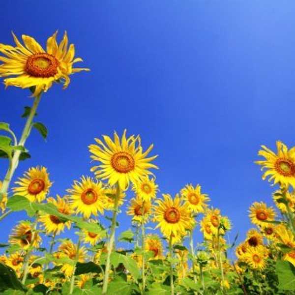 10 Reasons Why Spring Can't Come Fast Enough