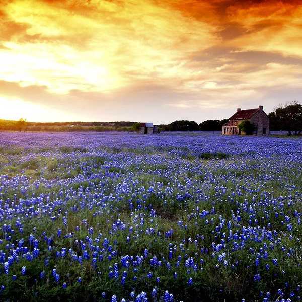 8 Reasons You Will Miss Rural Life