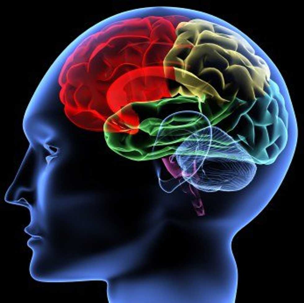 5 Reasons Why Psychology Is The Best Major Choice