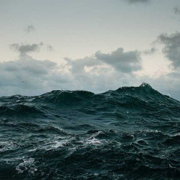 Voting In An Age Of Political Dystopia