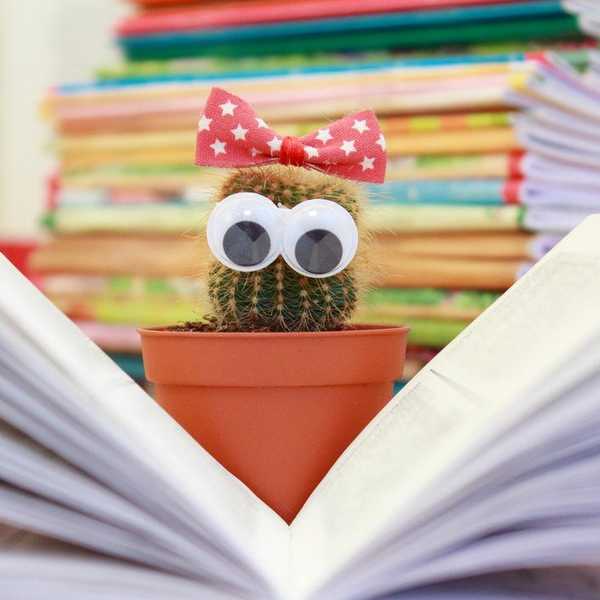 Finding A Degree Of Happiness