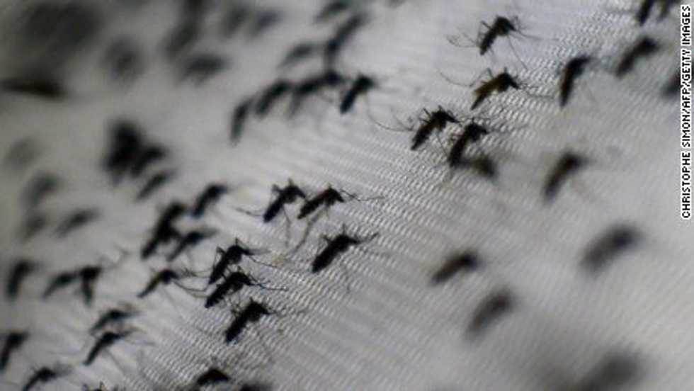 So, Should I Be Afraid of Zika?