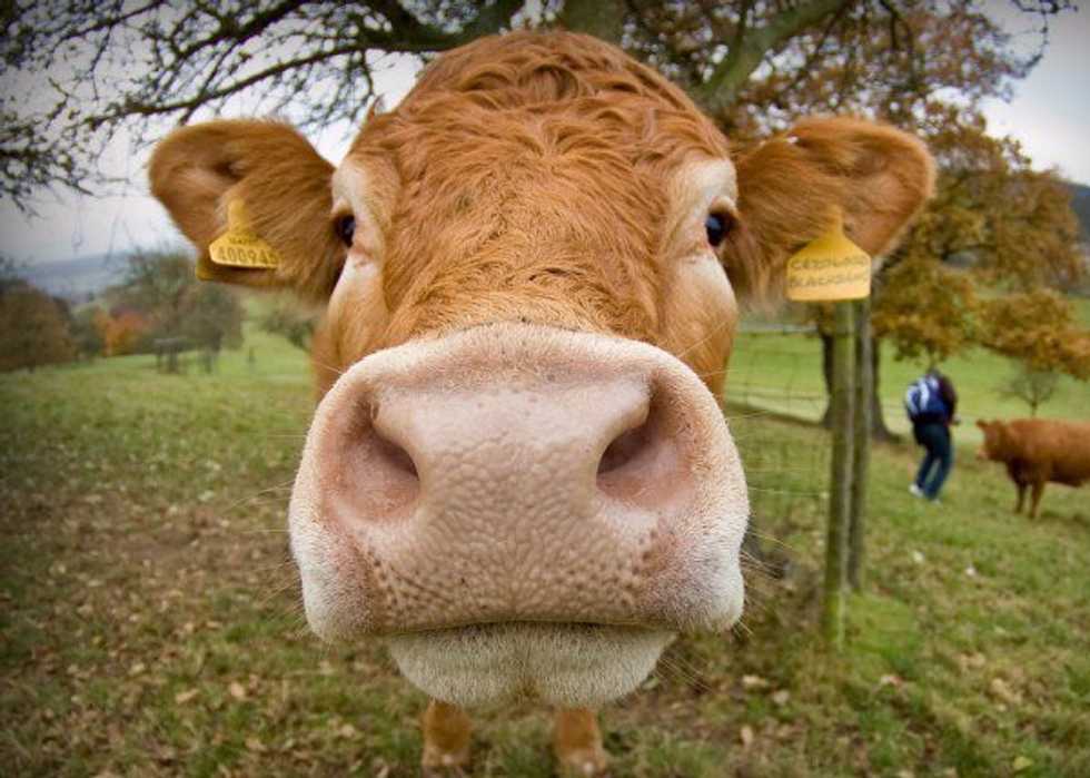 A Few Things Ag Majors Are Tired Of Hearing