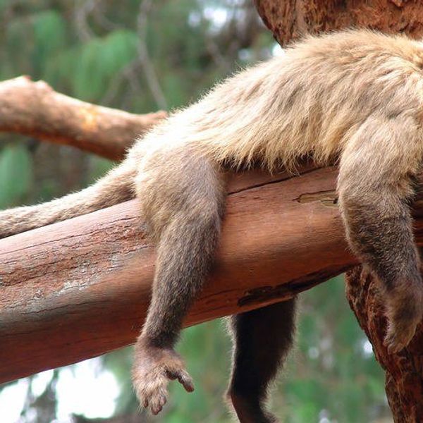 My Life As A Procrastinator