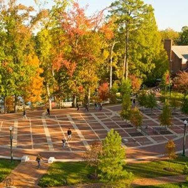 Best Summer Study Spots At The University of Richmond