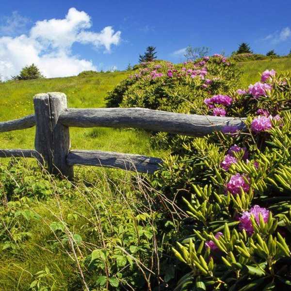 5 Steps To A Successful Spring