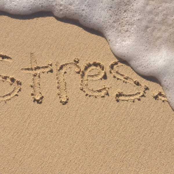 5 Things You Need To Do When You're Stressed