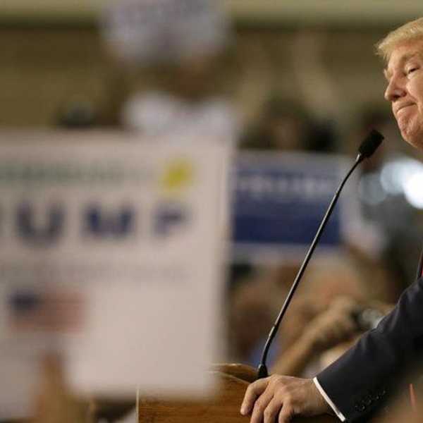 Why Not Trump?
