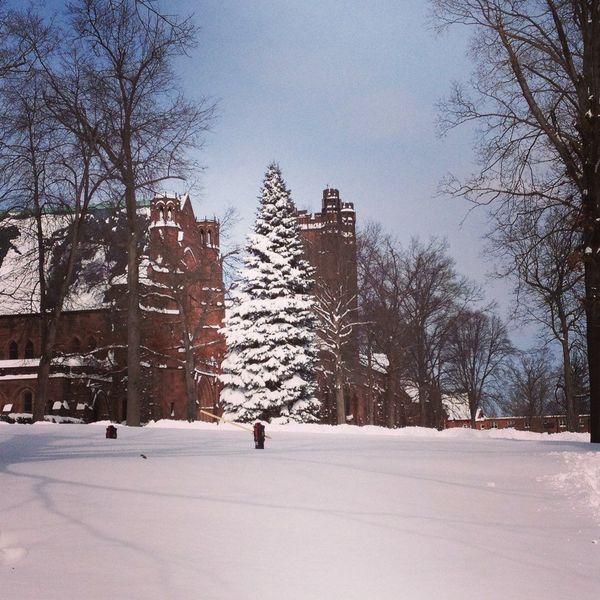 Is No Tuition The Answer To Inflation On College Tuition?