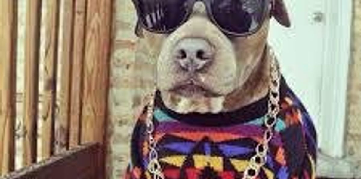 4 Awesome Rappers With Happy Music We Can All Enjoy | The Odyssey Online