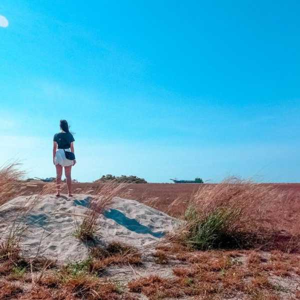 Feeling A Little Lost