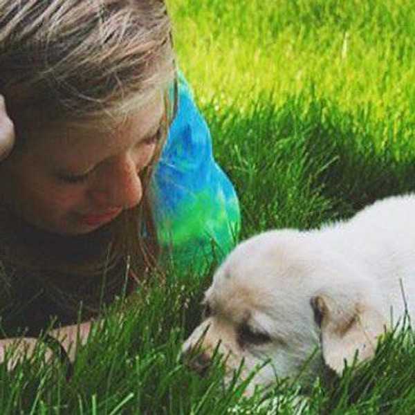 A Lesson From My Dog