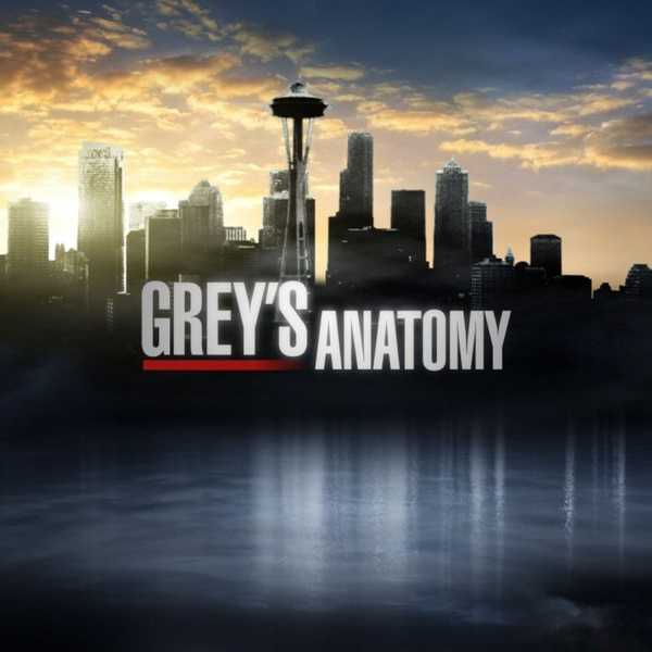 What I Know About 'Grey's Anatomy'