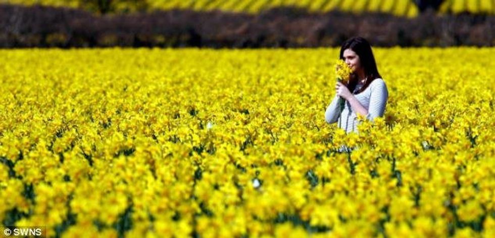 9 Reasons Why Spring Is The Best Season All Year