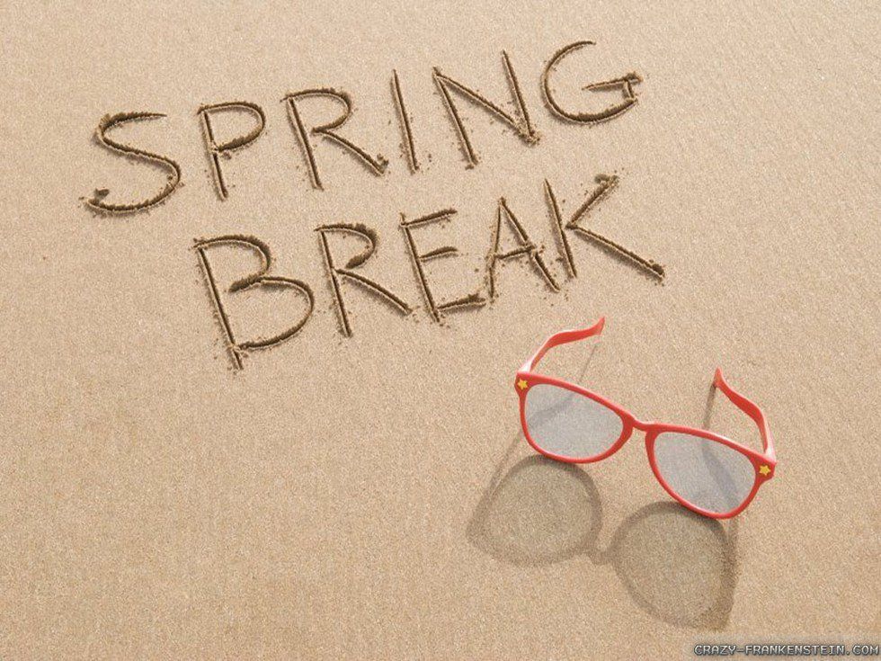 The 4 Typical Spring Break Trips