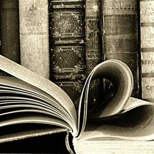 Eight Daily Struggles of a Bibliophile