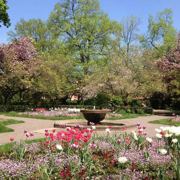 The 10 Stages of Spring