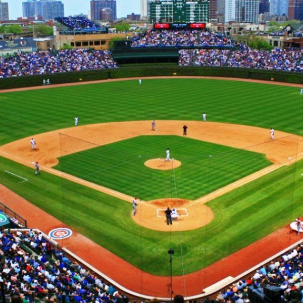 What A True Sports Fan Does